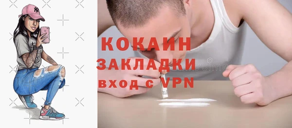 дживик Аркадак